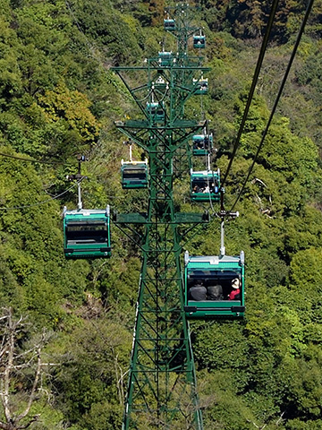 宮島索道兩條索道連接紅葉谷站-榧谷站-獅子岩站。