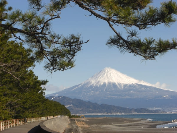 三保松原，從神之道觀賞富士山