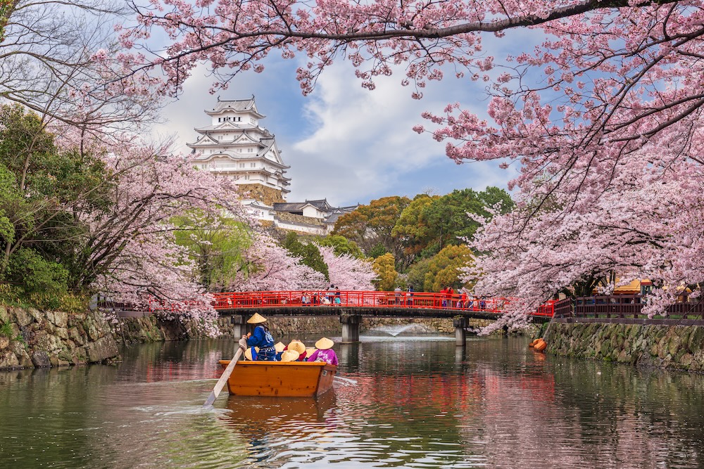 2025日本賞櫻指南