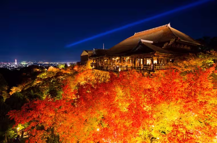 2024京都枫叶季攻略