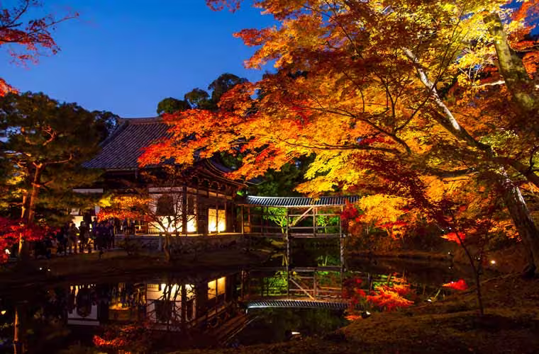 2024京都枫叶季