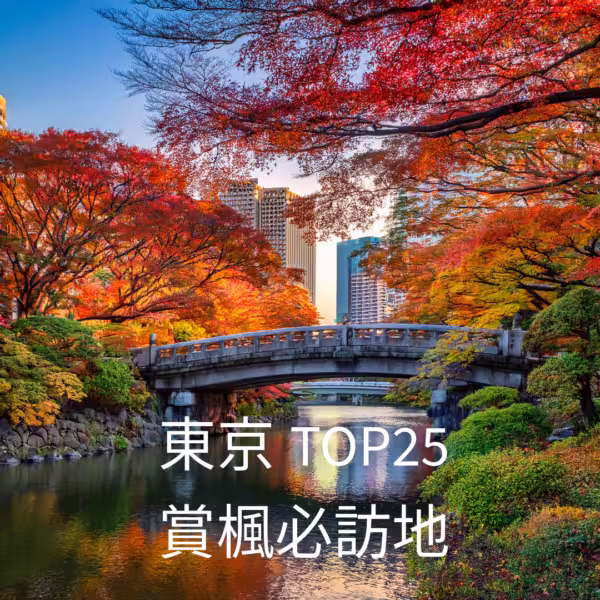 2024東京紅葉景點